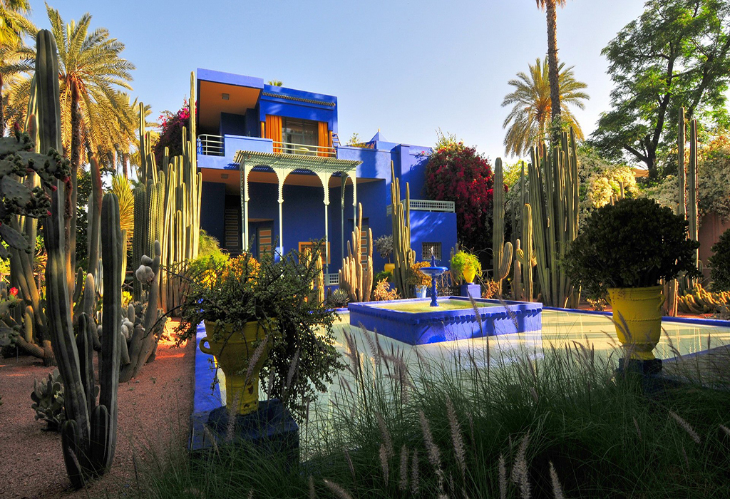 Morocco-Marrakech-Jardin-Majorelle-Nature-Wallpapers-and-photos